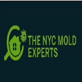 NYC Mold Experts